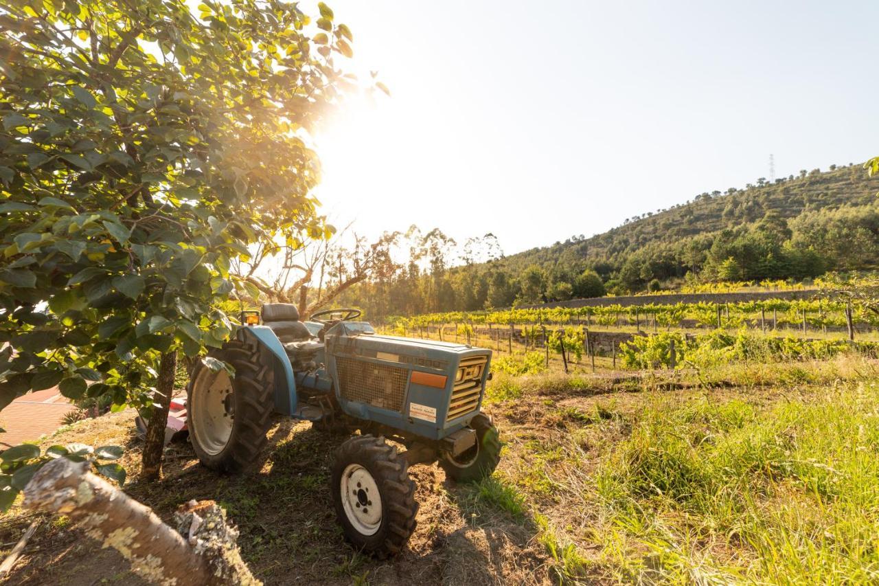 Quinta Da Fonte - Agroturismo Barroselas Eksteriør bilde