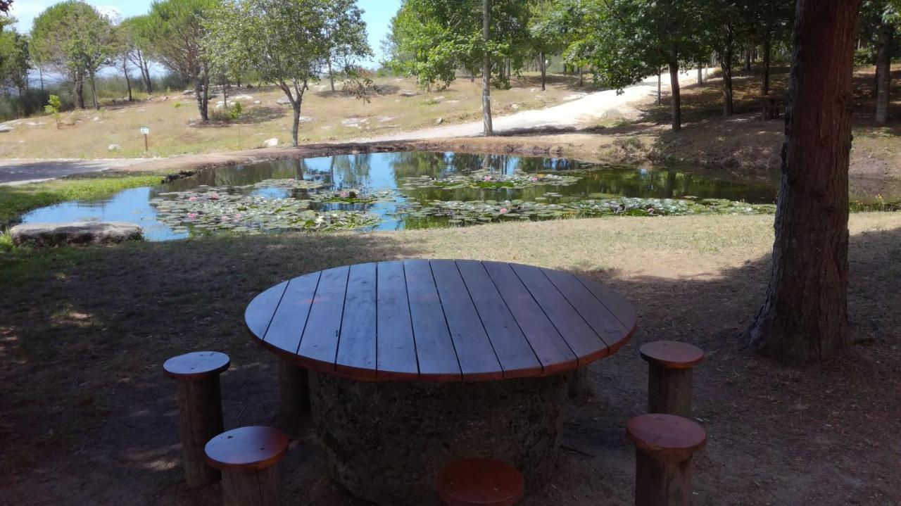 Quinta Da Fonte - Agroturismo Barroselas Eksteriør bilde