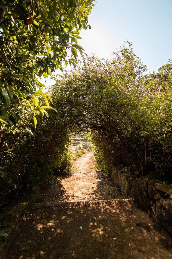 Quinta Da Fonte - Agroturismo Barroselas Eksteriør bilde