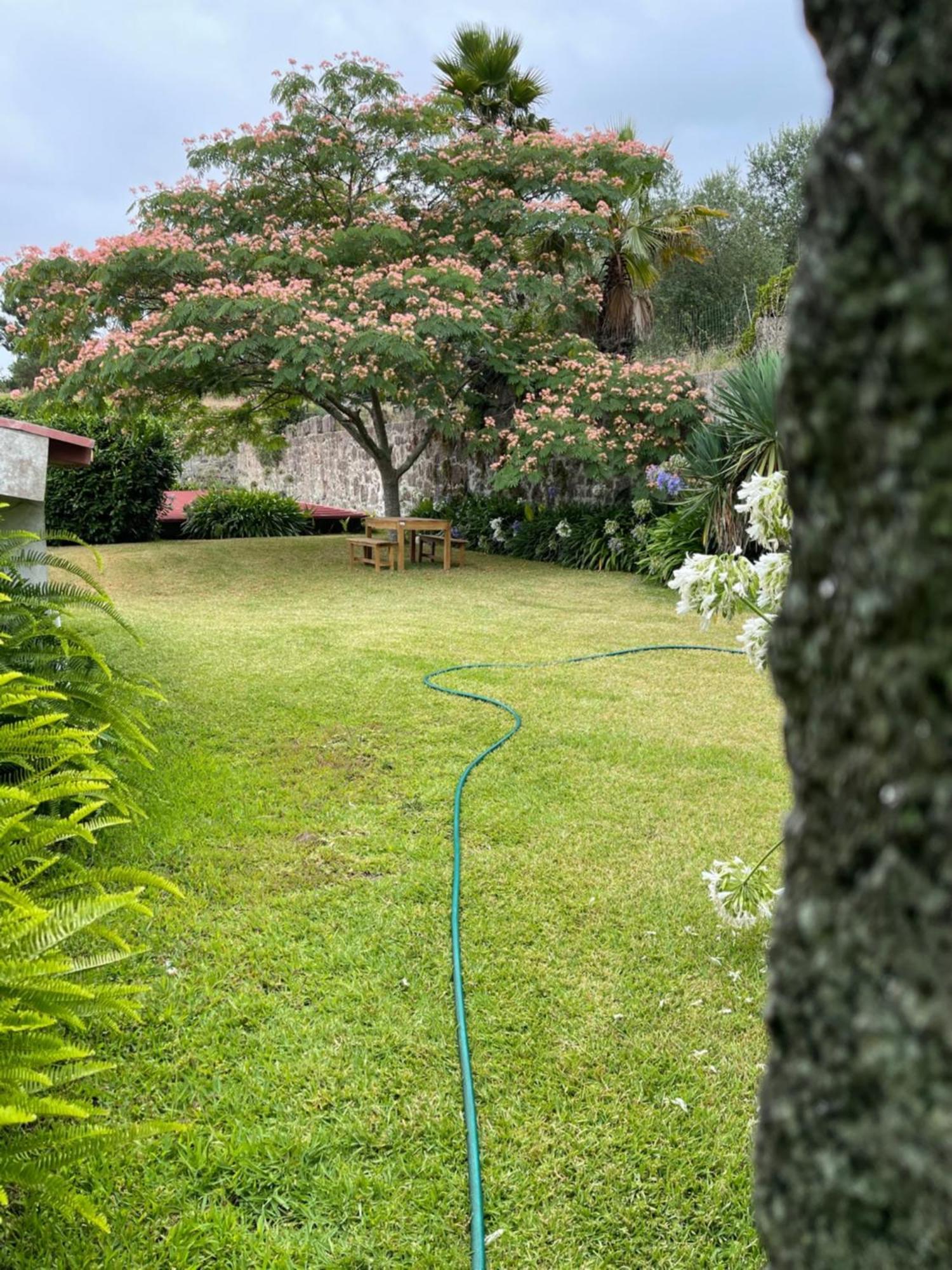 Quinta Da Fonte - Agroturismo Barroselas Eksteriør bilde